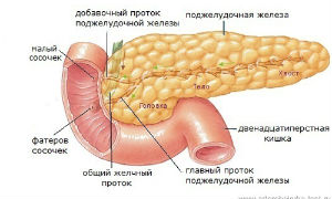 Полная и частичная резекция поджелудочной железы
