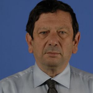 Профессор Ханох Каштан