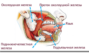 Операции на слюнных железах