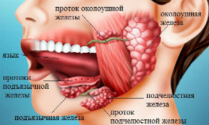 Операции на слюнных железах