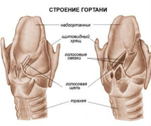 Полная и частичная резекция гортани