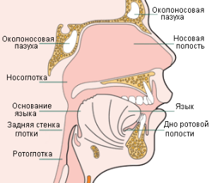 Удаление опухолей носоглотки