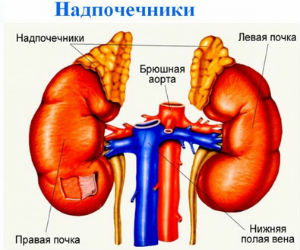 Удаление опухоли надпочечника