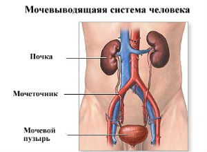 Расстройства мочевыводящих путей